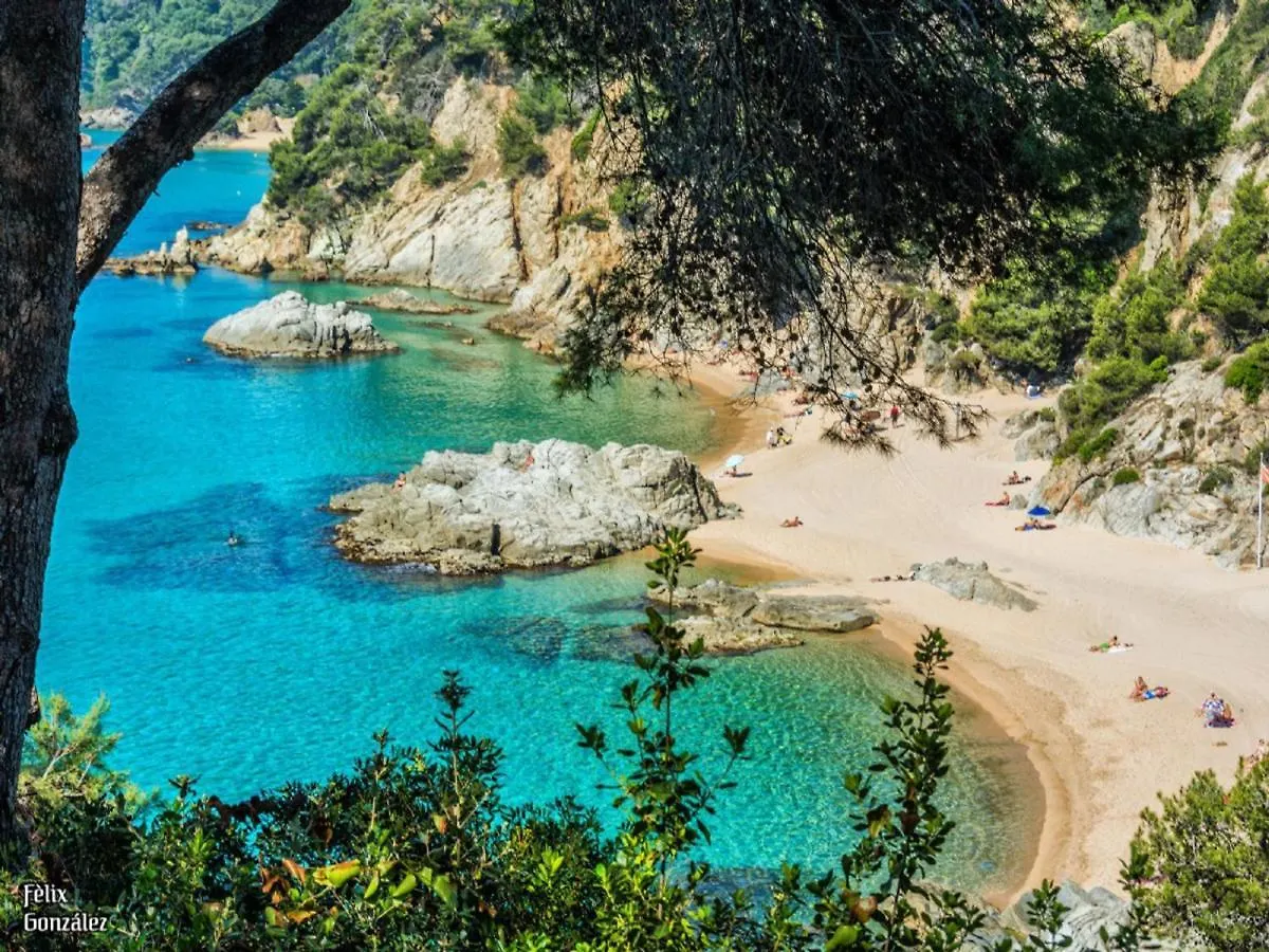 Villa Palm Beach Lux, Ideal Grupos Con Aireacondicionado Lloret de Mar Spain